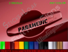 PARAMEDIC Door Handle Decals Set of 2